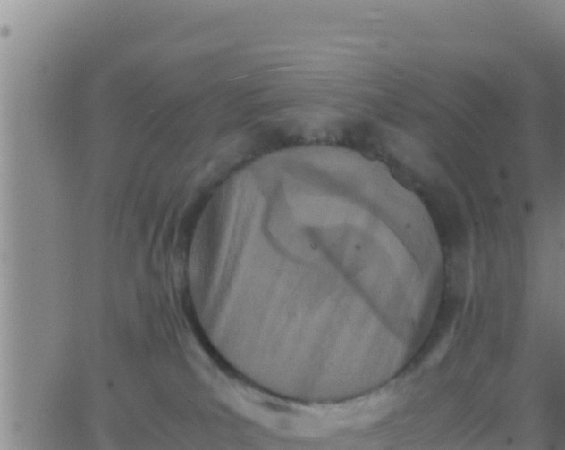 X0000062830039200601272002