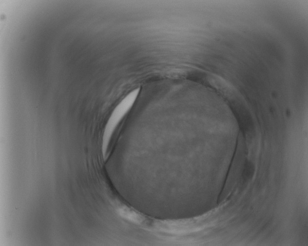 X0000062830041200601272002