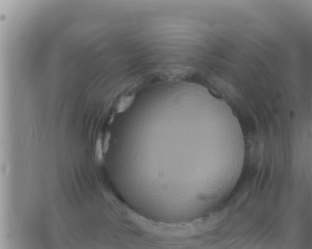 X0000062830042200601272002