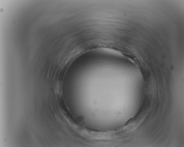 X0000062830044200601272002