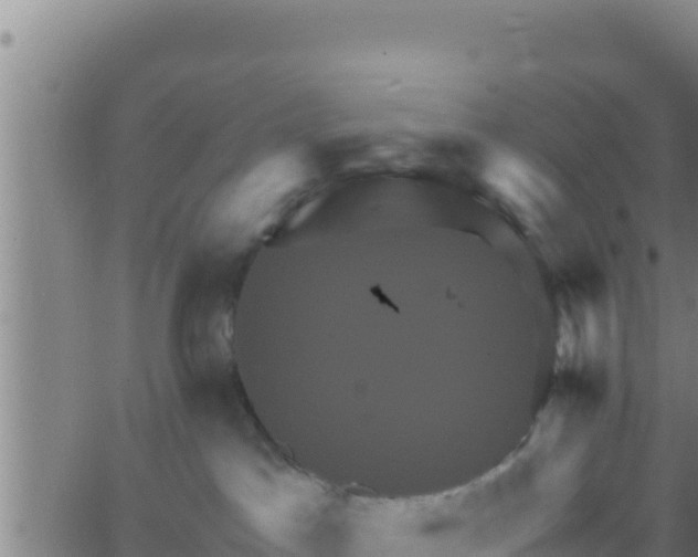 X0000062830045200601272002