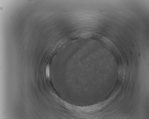 X0000062830046200601272002