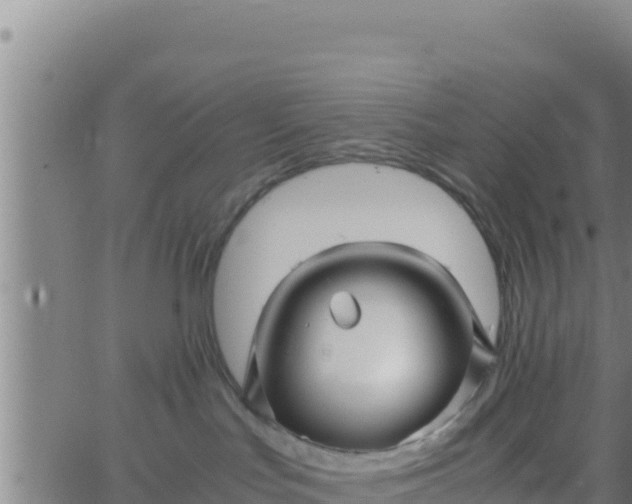 X0000062830047200601272002