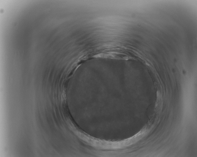 X0000062830048200601272002