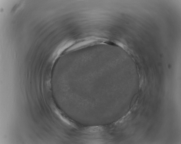 X0000062830050200601272001