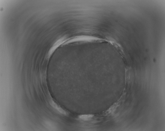 X0000062830051200601272001