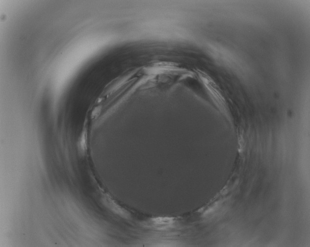 X0000062830052200601272001