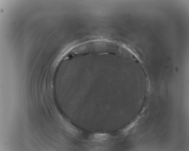 X0000062830055200601272001