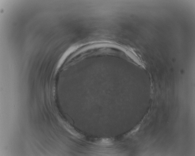 X0000062830056200601272001