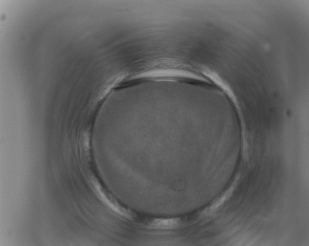 X0000062830057200601272001