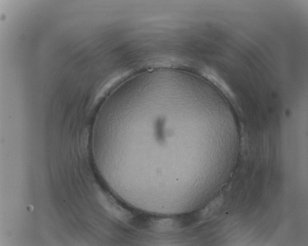 X0000062830058200601272001