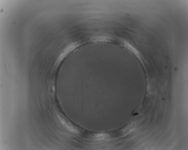 X0000062830059200601272001