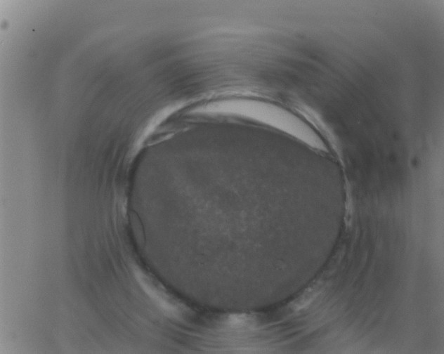 X0000062830060200601272001