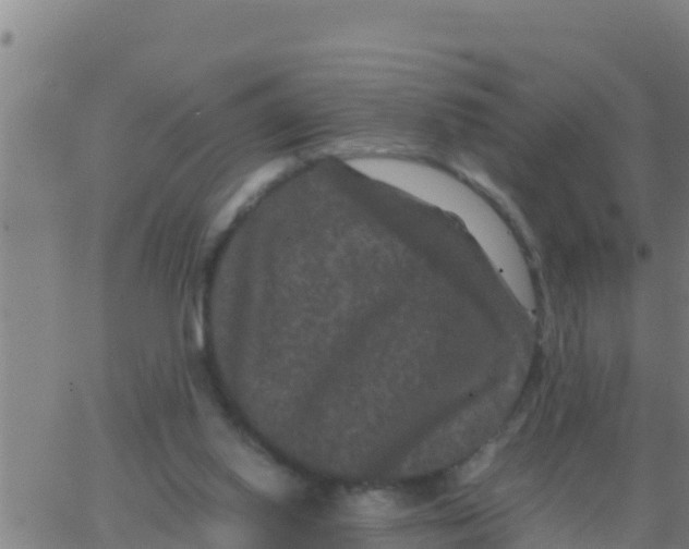 X0000062830062200601272001