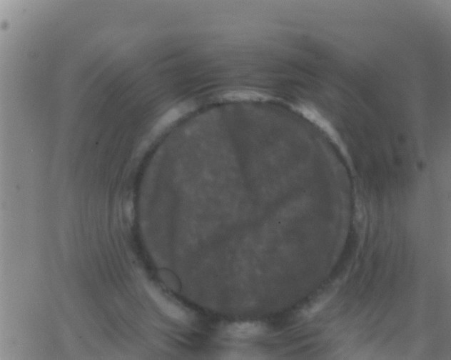 X0000062830063200601272001