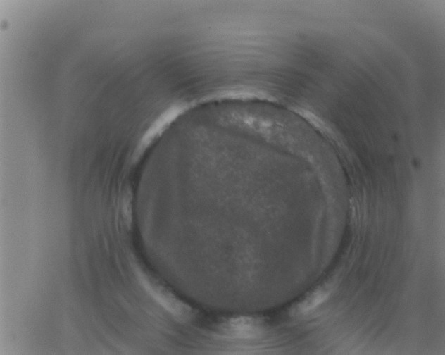 X0000062830064200601272001