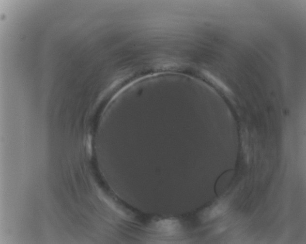 X0000062830067200601272001