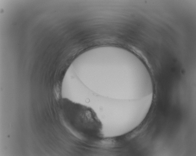 X0000062830069200601272001