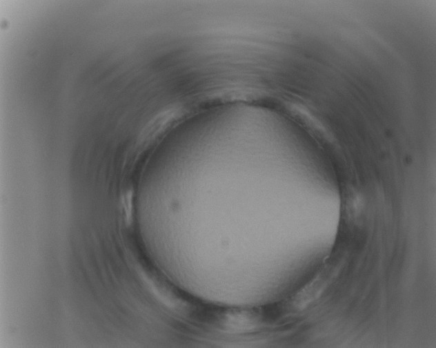 X0000062830070200601272002