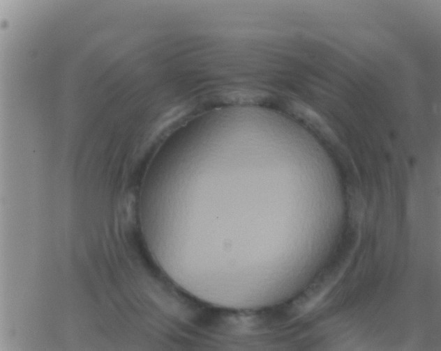 X0000062830071200601272002