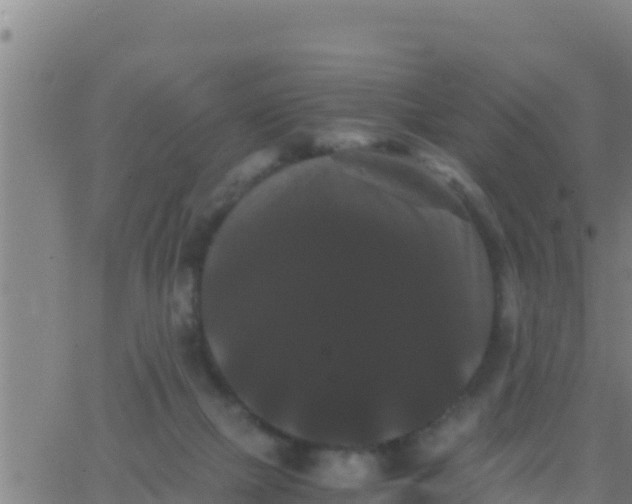 X0000062830073200601272002