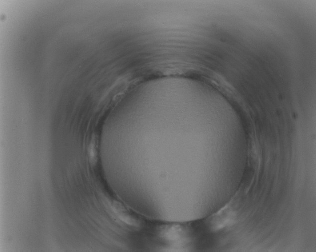 X0000062830074200601272002