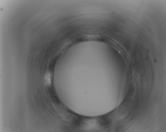 X0000062830075200601272002