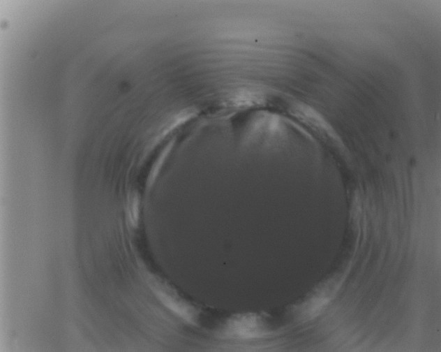 X0000062830076200601272002