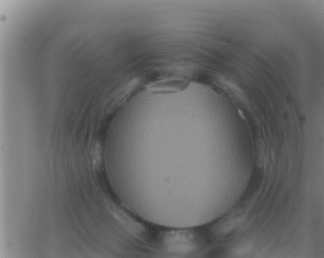 X0000062830077200601272002