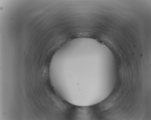 X0000062830079200601272002