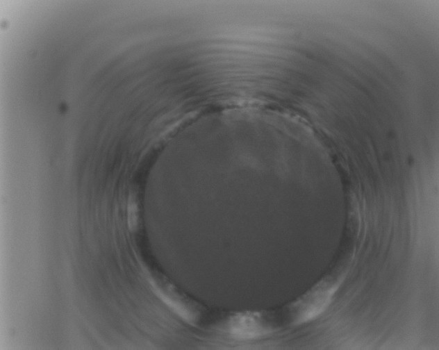 X0000062830080200601272002