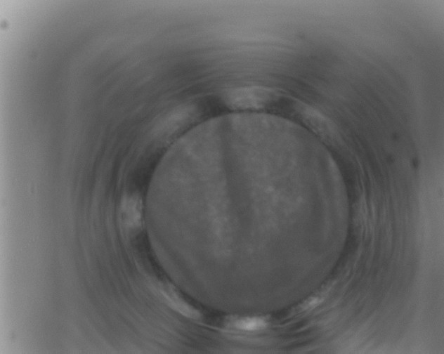 X0000062830081200601272002