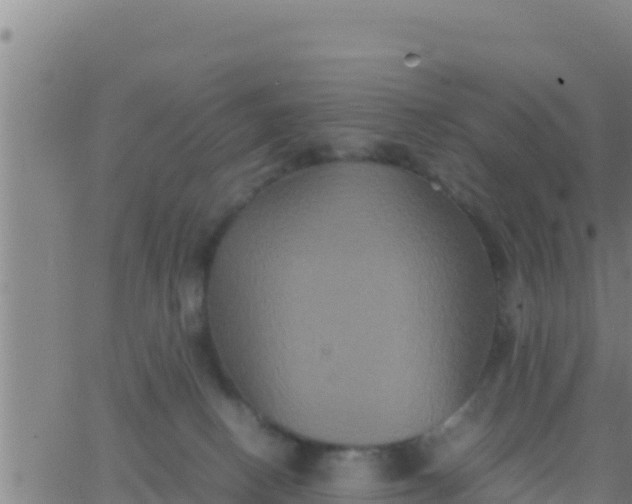 X0000062830082200601272002