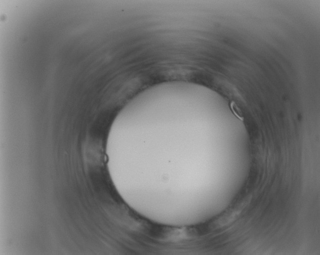 X0000062830083200601272002