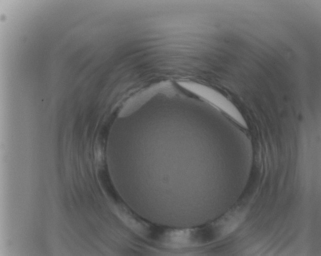 X0000062830084200601272002