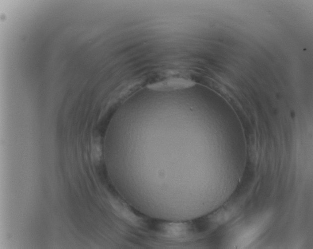 X0000062830085200601272002