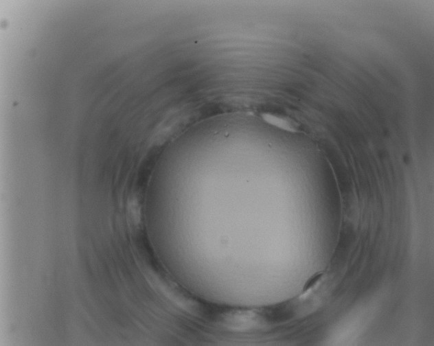 X0000062830086200601272002