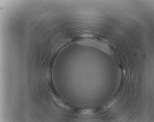 X0000062830088200601272002