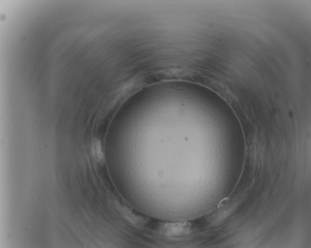 X0000062830089200601272002