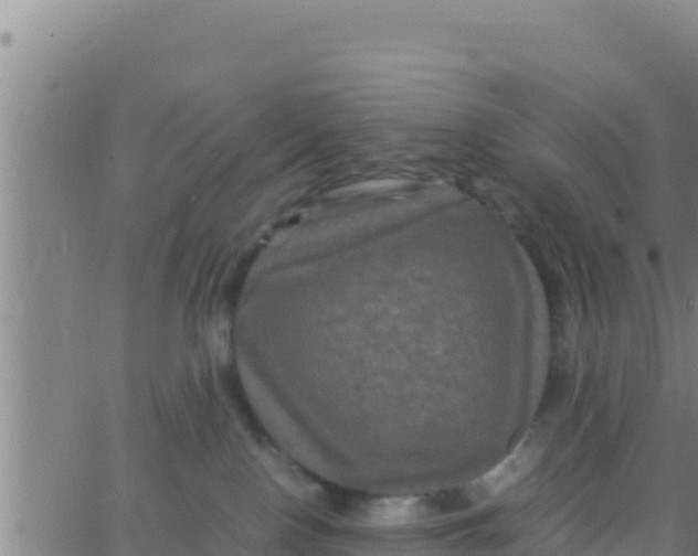 X0000062830090200601272002