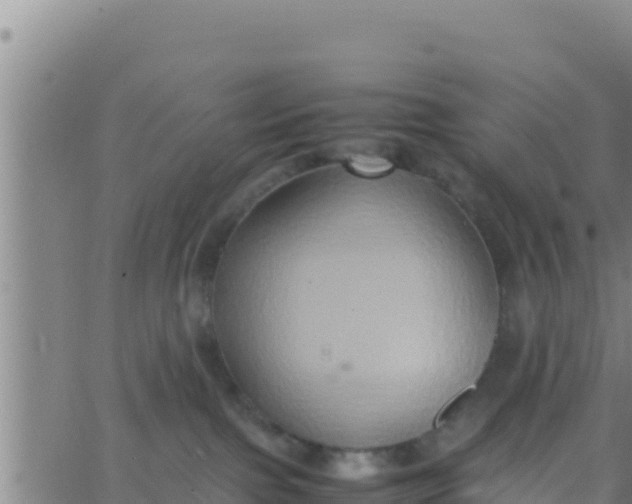 X0000062830091200601272002