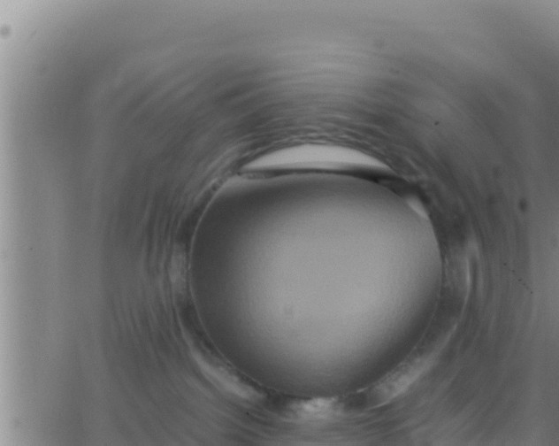 X0000062830092200601272002