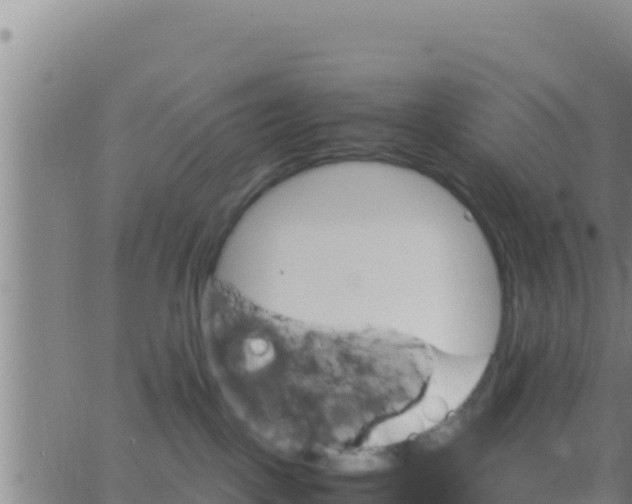 X0000062830093200601272002