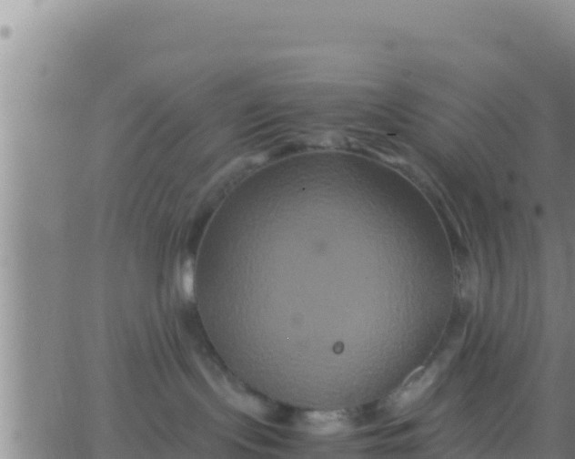 X0000062830095200601272002