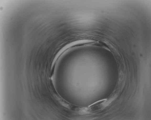 X0000062830096200601272002