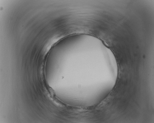 X0000062830098200601272001