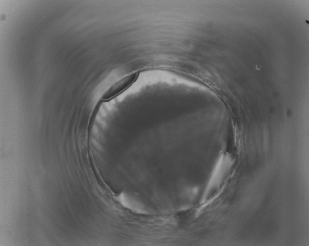 X0000062830099200601272001