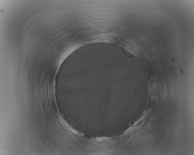 X0000062830100200601272001