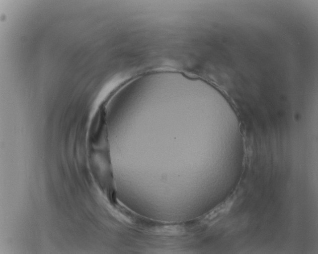 X0000062830102200601272001