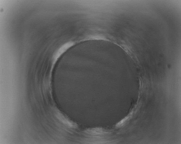 X0000062830104200601272001